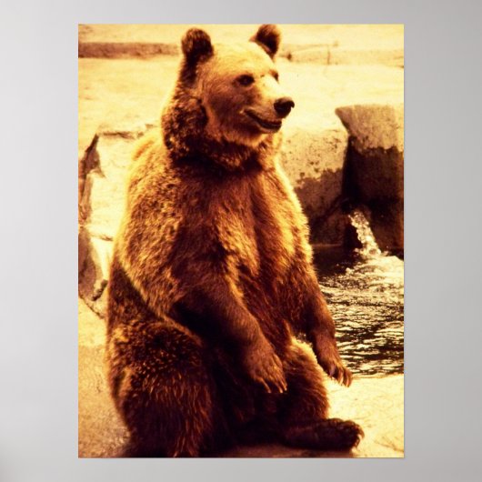 grizzly beer print (Voorkant)