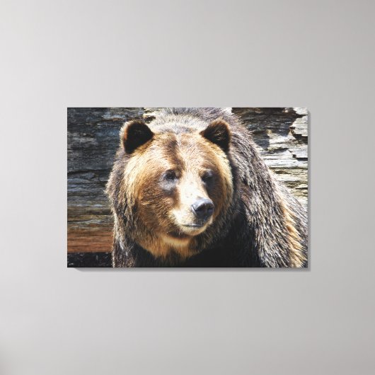 Grizzly Beer profiel verpakt canvas print (Voorkant)