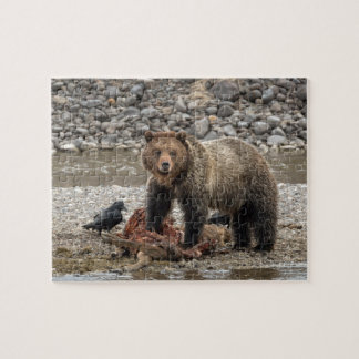 Grizzly Beer Puzzle Legpuzzel
