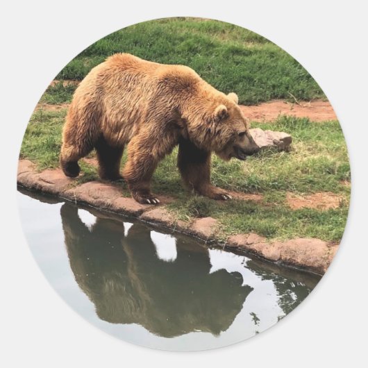 Grizzly Beer Ronde Sticker (Voorkant)