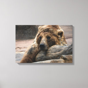 Grizzly Beer slapen Canvas print