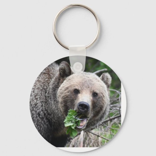 Grizzly beer sleutelhanger (Voorkant)