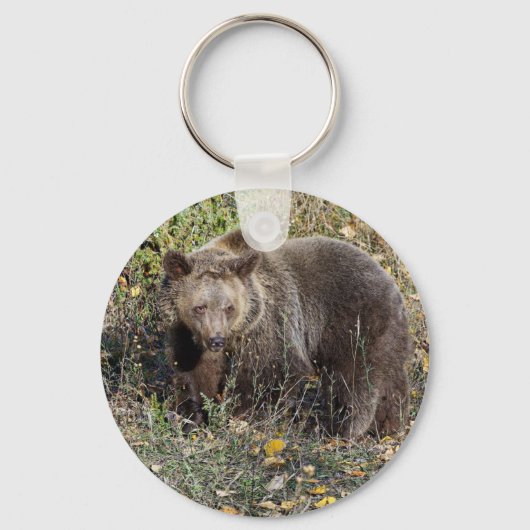 Grizzly Beer Sleutelhanger (Voorkant)