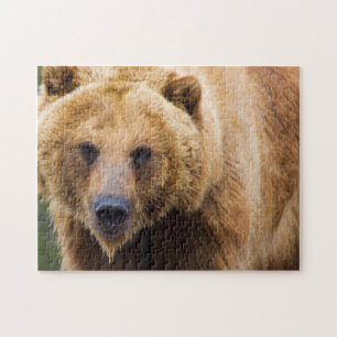 Grizzly Beer Sluiten genoeg Legpuzzel