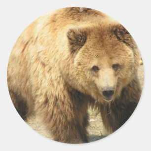 Grizzly Beer Sticker