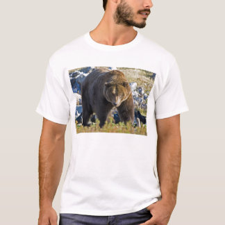 Grizzly Beer T-shirt