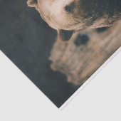 Grizzly Beer Tissuepapier (Detail)