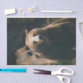 Grizzly Beer Tissuepapier (Craft)