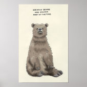 grizzly beer trivia poster (Voorkant)