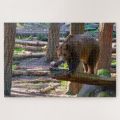 Grizzly Beer uitdagende wildgroei Legpuzzel (Horizontaal)