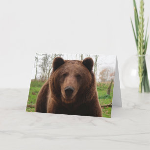 GRIZZLY BEER VERJAARDAG BEER KNUFFEL KAARTEN