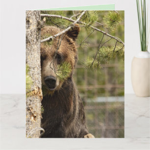 GRIZZLY BEER VERJAARDAG REUZEN VERJAARDAGKAARTEN KAART