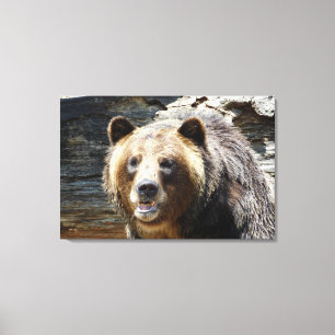 Grizzly Beer verpakt Canvas Print