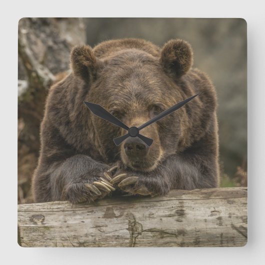 Grizzly Beer Vierkante Klok (Voorkant)