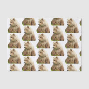 grizzly beer Weefpapier Tissuepapier