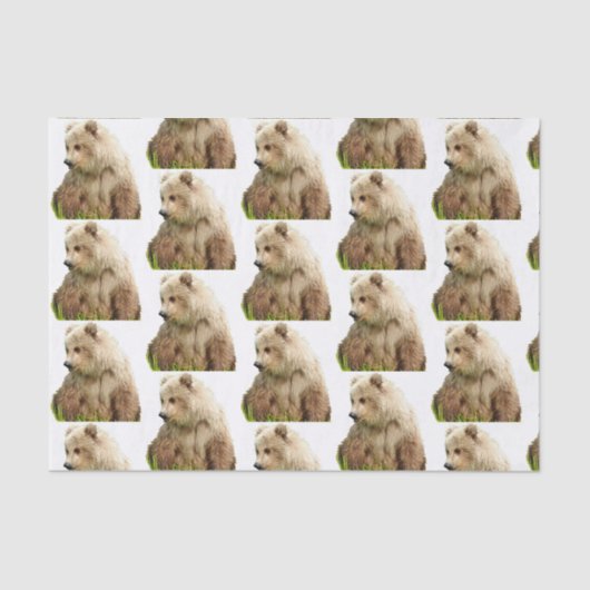 grizzly beer Weefpapier Tissuepapier (Voorkant)