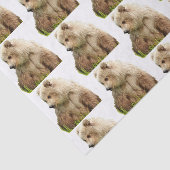 grizzly beer Weefpapier Tissuepapier (Detail)