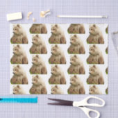 grizzly beer Weefpapier Tissuepapier (Craft)