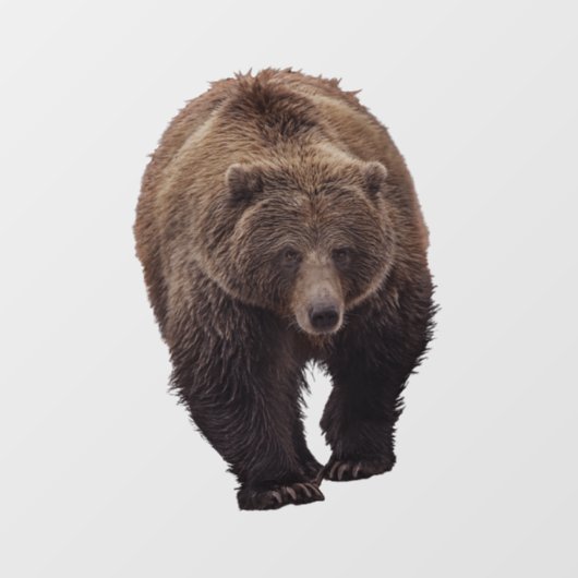 GRIZZLY BEER WINDOW CLING RAAMSTICKER (Vel)