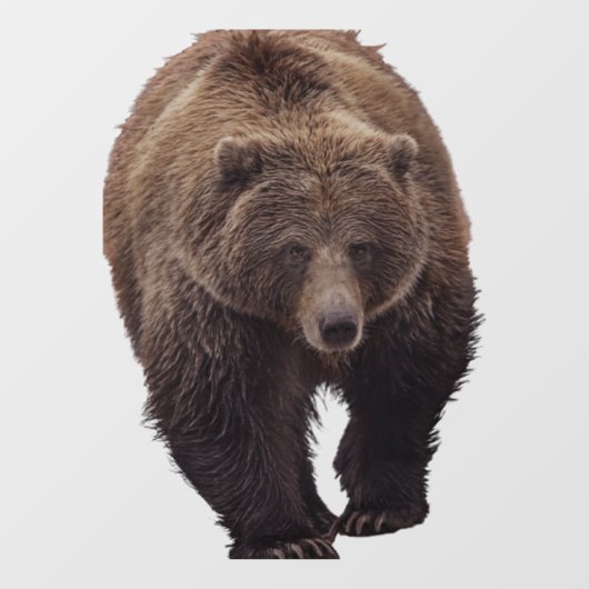 GRIZZLY BEER WINDOW CLING RAAMSTICKER (Vel)