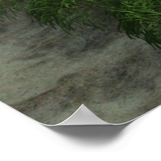 Grizzly Beer Woodland Cabin Style Poster (Hoek)