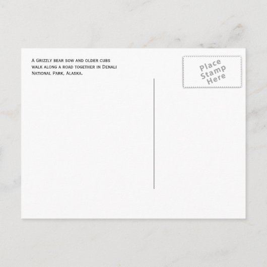 Grizzly Beer Zeug, Cubs, Denali National Park, AK Briefkaart (Achterkant)