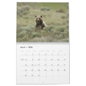 Grizzly Beren 2025 Kalender (Mar 2026)