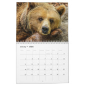 Grizzly Beren 2025 Kalender (Jan 2026)