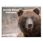 Grizzly Beren 2025 Kalender (Hoes)