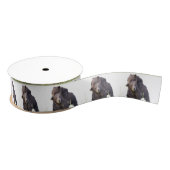 grizzly beren grosgrain ribbon grosgrain lint (Spoel)