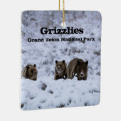 Grizzly Beren in het nationale park Snow Grand Tet Keramisch Ornament (Rechts)