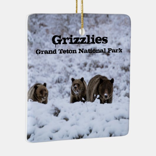 Grizzly Beren in het nationale park Snow Grand Tet Keramisch Ornament (Rechts)