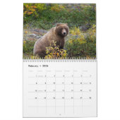 Grizzly Beren Kalender (Feb 2026)