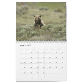 Grizzly Beren Kalender (Mar 2027)