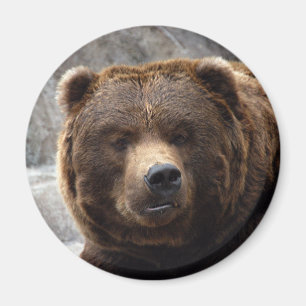 Grizzly Beren magneet