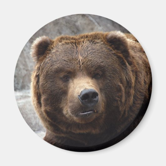 Grizzly Beren magneet (Voorkant)