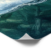 Grizzly Beren met staalforel zalm 16x20 Poster (Hoek)