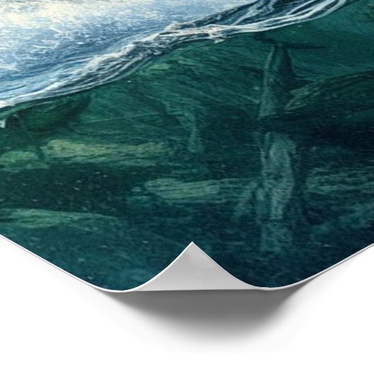 Grizzly Beren met staalforel zalm 16x20 Poster (Hoek)