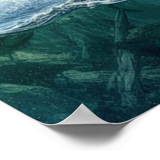 Grizzly Beren met staalforel zalm 18x24 Poster (Hoek)