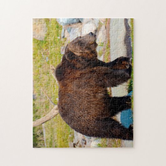 Grizzly Beren Montana. Legpuzzel (Verticaal)