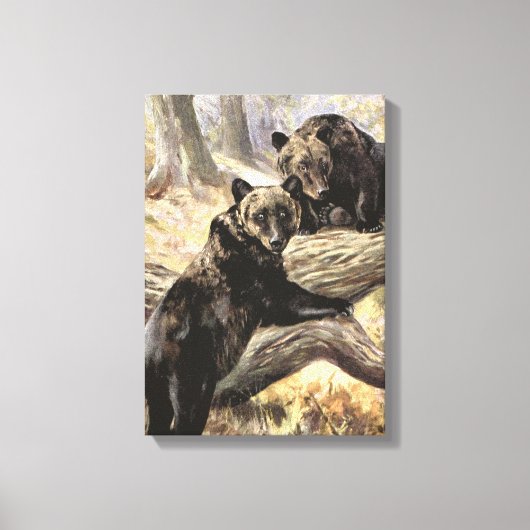 Grizzly Beren van CE Swan, bosdieren Canvas Afdruk (Voorkant)