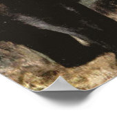 Grizzly Beren van CE Swan,  bosdieren Poster (Hoek)