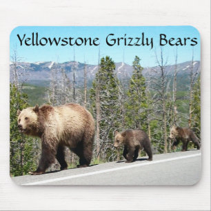 Grizzly Beren van geelsteen Muismat