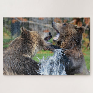 Grizzly Beren vechten tegen Jigzaag Puzzle Legpuzzel