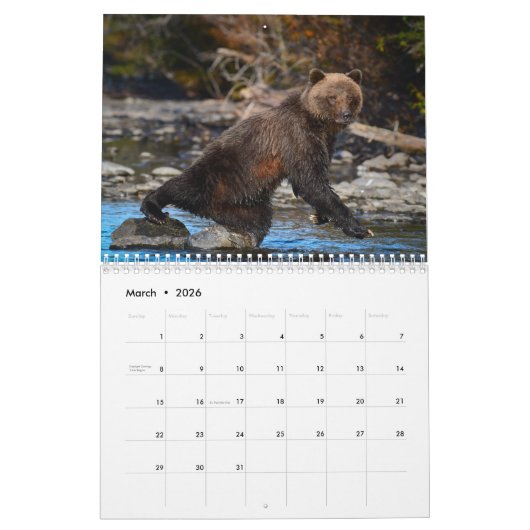 Grizzly Beren - Wandkalender 2019 Kalender (Mar 2026)