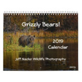 Grizzly Beren - Wandkalender 2019 Kalender (Hoes)