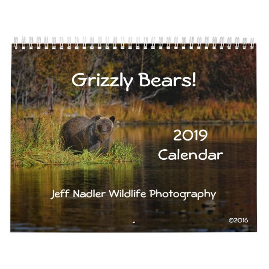 Grizzly Beren - Wandkalender 2019 Kalender (Hoes)