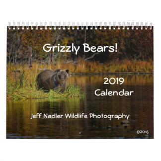 Grizzly Beren - Wandkalender 2019 Kalender
