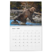 Grizzly Beren - Wandkalender 2019 Kalender (Mar 2027)