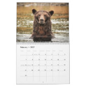 Grizzly Beren - Wandkalender 2019 Kalender (Feb 2027)